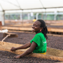 Load image into Gallery viewer, Woman in a green shirt working with coffee