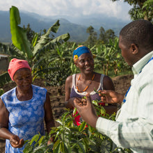 Load image into Gallery viewer, Three people in a coffee plantation with mountains in the background