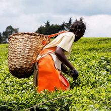 Load image into Gallery viewer, Canton - English Breakfast Tea