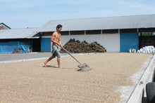 Load image into Gallery viewer, TIDE