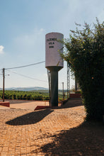 Load image into Gallery viewer, BLOOM