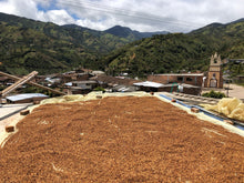 Load image into Gallery viewer, DUST v8