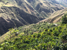 Load image into Gallery viewer, DUST v8