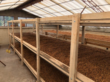 Load image into Gallery viewer, DUST v8