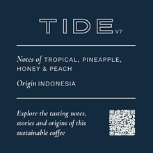Load image into Gallery viewer, TIDE