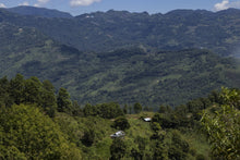 Load image into Gallery viewer, WINTER BLEND