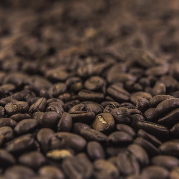 Resting Coffee: The Secret to Unlocking Better Flavour