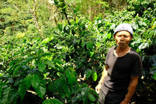 Load image into Gallery viewer, TIDE
