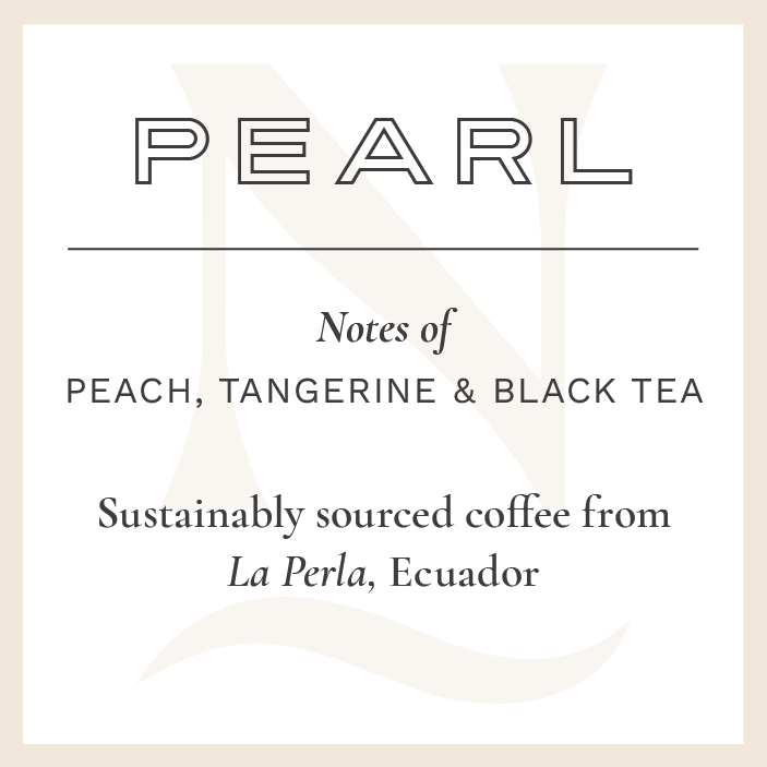 PEARL v2