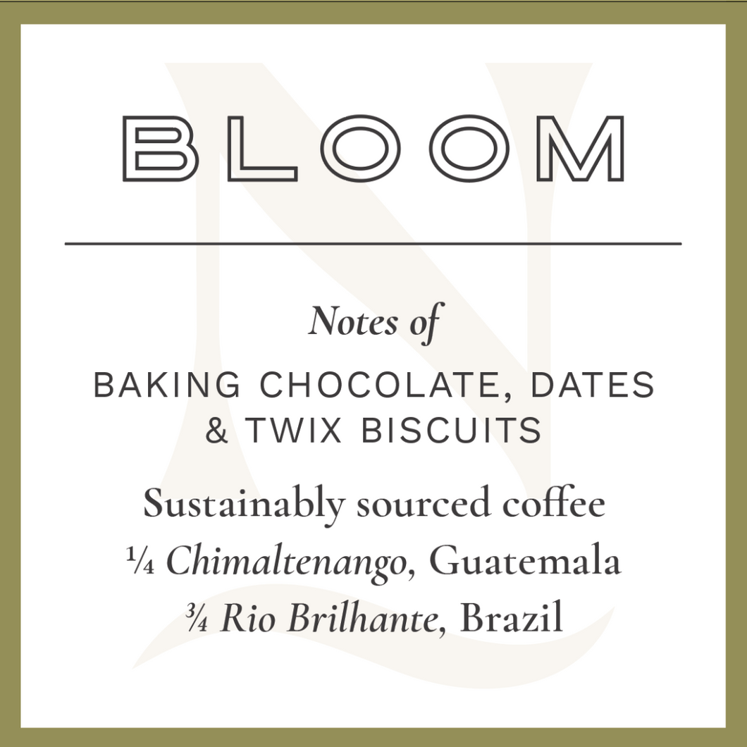 BLOOM v6