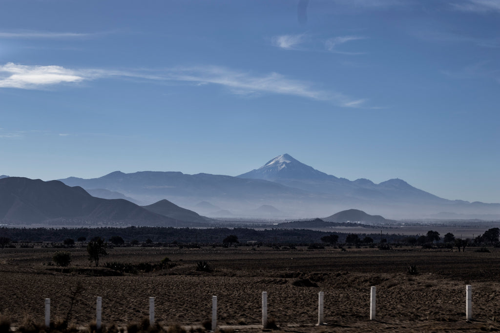 DECAF (Mexico Mountain Water Decaffeination)