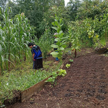 Load image into Gallery viewer, STROUDIE BREW
