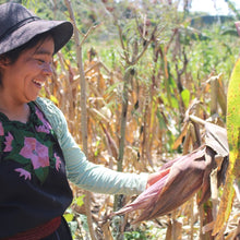 Load image into Gallery viewer, STROUDIE BREW
