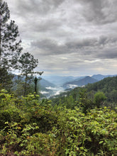 Load image into Gallery viewer, WINTER BLEND
