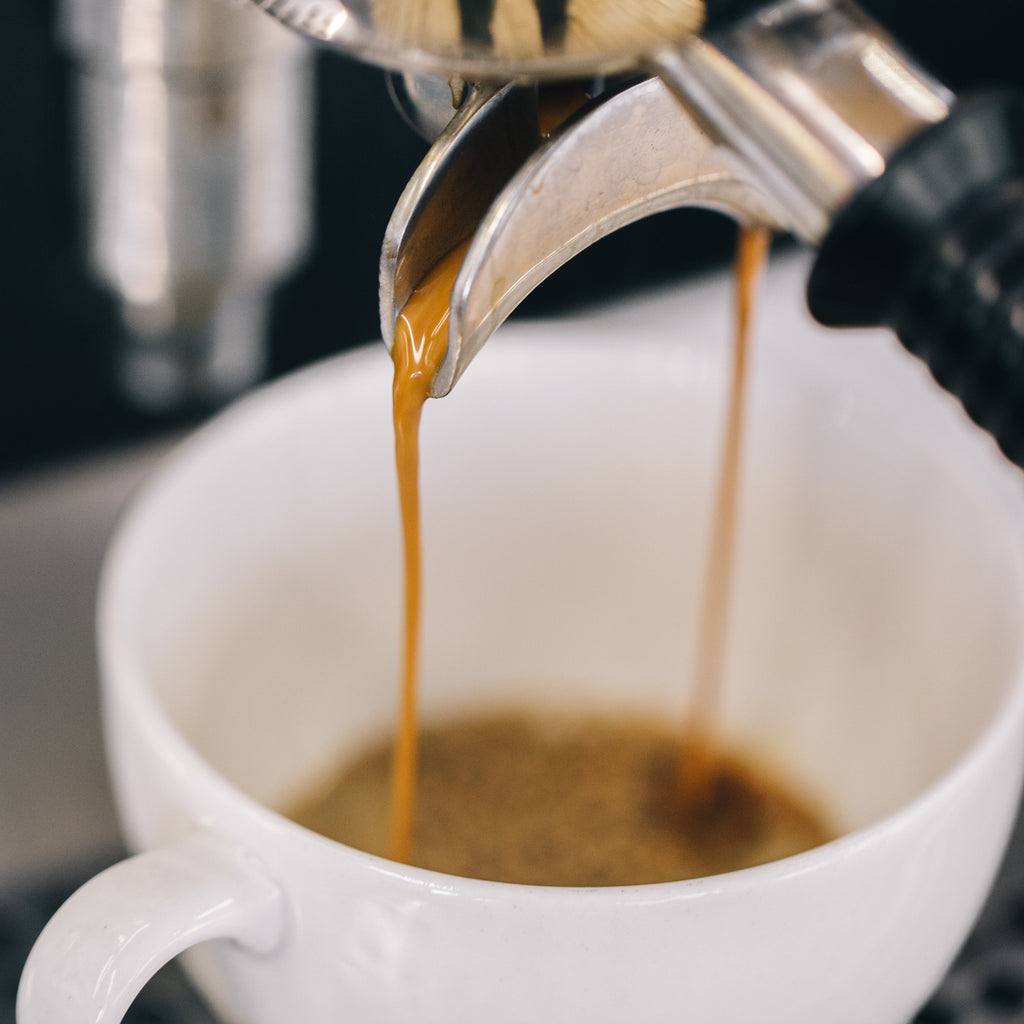 BARISTA WORKSHOP